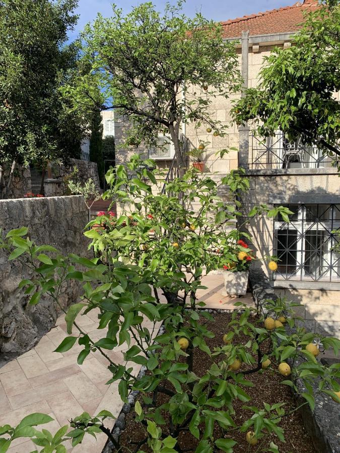 Villa Arancia 두브로브니크 외부 사진